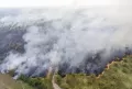Kebakaran Lahap Kebun Sawit di Palem Raya Ogan Ilir Sumsel