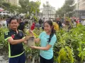 Gerakan Sosial Gotong Royong Boyong Pohon