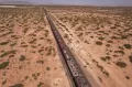 Nekat, Ribuan Migran Naiki Atap Kereta ke Perbatasan Meksiko-AS