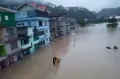 Banjir Lumpur Kubur Truk di Sikkim India, 100 Warga Hilang
