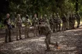 Rekrutan Anyar Militer Ukraina Bersiap Terjun Lawan Rusia