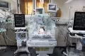 RS Krisis Listrik, Bayi Baru Lahir Terancam Maut di Gaza