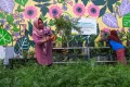 Pertamina Patra Niaga Berdayakan Kelompok Wanita Makassar dengan Hydroponic Farm