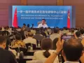 IREIS 2023 Jembatani Investor China dengan Pemerintah RI untuk Pengadaan Energi Terbarukan