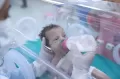 28 Bayi Prematur Palestina Berhasil Dievakuasi ke Mesir
