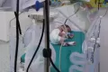 Berhasil Dievakuasi dari Gaza, Begini Perawatan Bayi Prematur Palestina di RS NAC Kairo
