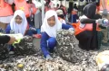 Peringati Hari Bumi, Ratusan Relawan Restorasi Kerang Hijau di Pantai Ancol