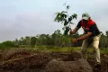 Taman Rawa Pertama Indonesia dengan 55 Pohon Langka