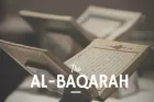 Bacaan 2 Ayat Terakhir Surat Al-Baqarah Berikut Arti dan Fadhilahnya