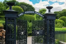 Mengenal The Poison Garden, Taman Paling Beracun di Dunia