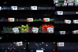 Gawat, Stok Bahan Makanan di Pasar Grosir Amerika Menipis Saat Biaya Logistik Mahal