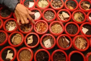 Ironis! Kaya Bahan Baku, Industri Herbal Indonesia Tak Berkembang