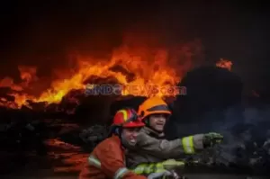 Kebakaran Gudang Triplek di Meruya Utara, 6 Mobil Damkar Dikerahkan