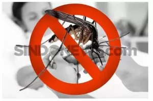 Studi Terbaru: Hindari 4 Warna Favorit Nyamuk Ini untuk Pencegahan DBD