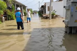 PLN Bekasi Pastikan Kelistrikan di Titik Terdampak Banjir Sudah Normal Semua