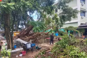 Diterjang Angin Kencang, Pohon Beringin Tumbang Timpa Lapak Pedagang di Ciputat