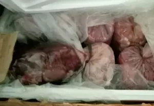 Penyelundupan 720 Kg Daging Celeng ke Bekasi Berhasil Digagalkan
