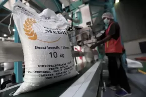 Indonesia Kerap Impor Beras dari 4 Negara Ini, Puluhan Ribu Ton Mengalir