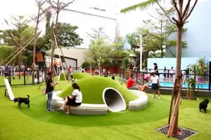 3 Taman Anjing di Jakarta, Cocok untuk Dog Lovers Habiskan Akhir Pekan