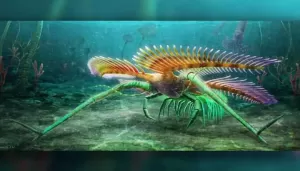 Fosil Antropoda Purba Ditemukan di Pantai Kanada, Bertubuh Lunak dengan Kepala Bertanduk