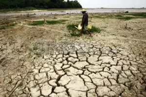 Gara-gara Perubahan Iklim, Sepanjang 4 Tahun Indonesia Bisa Tekor Rp544 Triliun