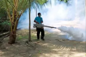 Cegah DBD, Puskesmas Untung Jawa Lakukan Fogging di Pulau Bidadari
