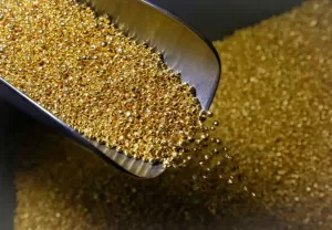 Tak Disangka! Tanaman Penyedot Emas Ini Tumbuh Subur di Indonesia