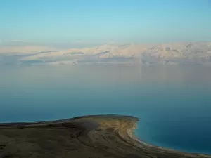 Mengapa Hewan dan Tumbuhan Tidak Bisa Hidup di Laut Mati?