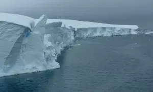Gletser Kiamat Antartika Mencair Lebih Cepat, Kondisinya Bikin Ngeri Seluruh Dunia