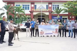 Mercure Makassar Nexa Pettarani Serahkan Seekor Sapi untuk Kurban