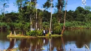 Fenomena Langka, Pulau di Kalimantan Barat Bisa Bergerak Sendiri