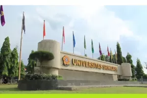 5 Perguruan Tinggi Negeri Terluas di Indonesia, UI di Urutan Terakhir