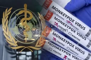 WHO Ganti Nama Penyakit Cacar Monyet, Bukan Monkeypox Lagi