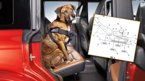 Unik, Ford Kembangkan Jok Mobil untuk Anjing Kesayangan