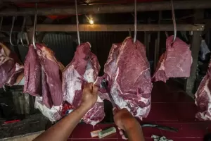 Impor Daging Sapi Masih Tinggi, Legislator Wanti-wanti Efeknya ke Peternak Lokal