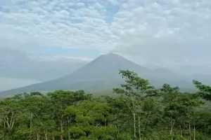 Keunikan Semeru, Gunung Tertinggi di Pulau Jawa yang Baru Saja Alami Erupsi