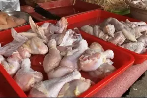 Jelang Nataru Harga Daging Ayam Merangkak Naik, Hari Ini Tembus Rp23.000 per Kg