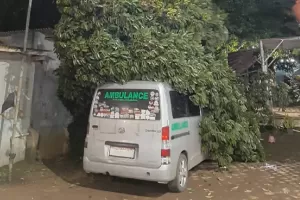 Hujan Angin, Pohon Durian Tumbang Timpa Mobil Ambulans di Bogor