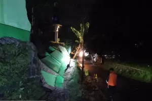 Hujan Deras, Tembok Penahan Tanah SDN Cipelang 2 Bogor Longsor 10 Meter