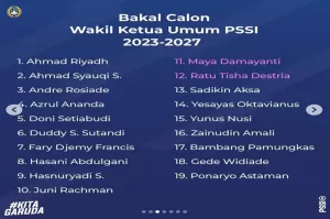 Iwan Budianto Dihapus dari Daftar Bakal Calon Waketum PSSI