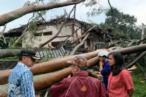 Januari 2023, 24 Bencana Landa Kota Bogor Terbanyak Pohon Tumbang