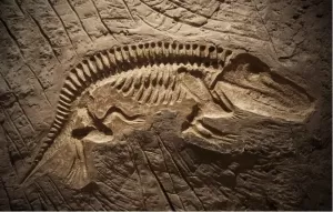 5 Negara Tempat Penemuan Fosil Dinosaurus, Nomor Terakhir Ditemukan Tulang Megalosaurus