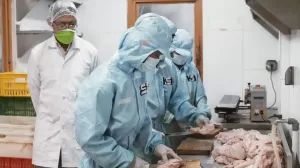 Marinated Pro Tawarkan Jasa Maklon untuk Pengolahan Marinasi Ayam dan Daging