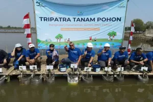 Cegah Perubahan Iklim, 50.000 Bibit Mangrove Ditanam di Pakuhaji Tangerang