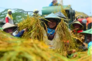 Hari Tani Nasional Jadi Momentun Tingkatkan Produktivitas Pertanian