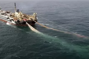 Mahfud MD Ungkap Ancaman terhadap Ekonomi Laut, Ini 4 Jenis Illegal Fishing