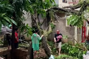 Bogor Diterpa 16 Bencana Pascahujan Deras Disertai Angin Kencang