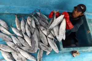 Nelayan Sambut Gembira Program Penghapusan Kredit Macet Ganjar