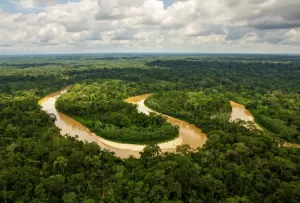 Gugusan Kota Kuno Terbesar di Amazon Ditemukan