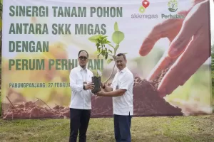 Tingkatkan Serapan Karbon, Perhutani dan SKK Migas Tanam Ribuan Bibit Pohon di Bogor